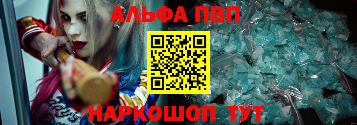 Альфа ПВП СК Губкин
