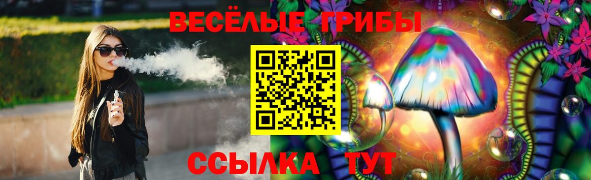 Галлюциногенные грибы Cubensis Губкин