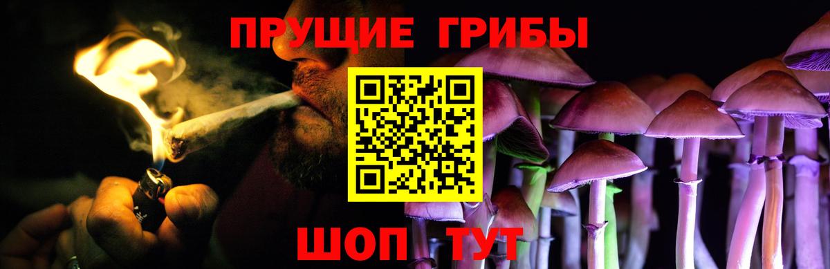 цены наркотик  Вход с VPN  Губкин  Галлюциногенные грибы мицелий  Псилоцибиновые грибы ЛСД 